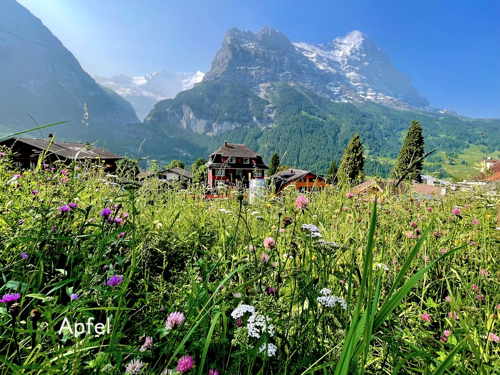 滞在したグリンデルワルトのホテル🇨🇭（アルプス地方の旅 2025年 初夏