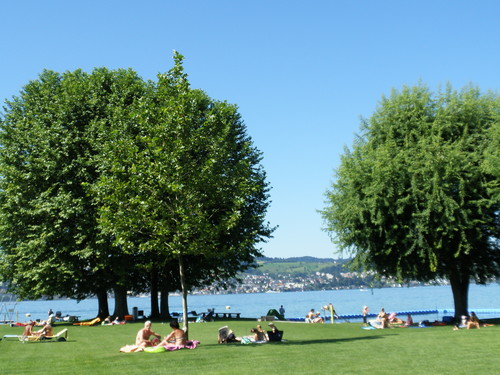 P7261597