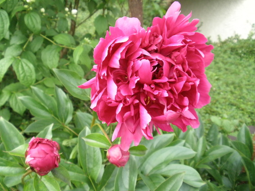 P6089359