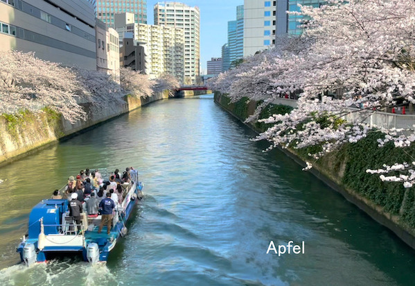 スクリーンショット 2021-03-26 20.37.10