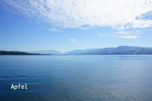 スイスアンティーク ♧ アインジーデルンの黒いマリア像 ♧ ブラックマドンナ アインジーデルン・黒いマリア像、スイスで最も有名なカトリック