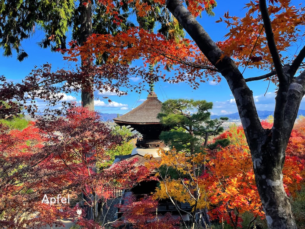 風景画「紅葉の常寂光寺Ⅱ」油彩画 F10 京都・嵯峨野 張り