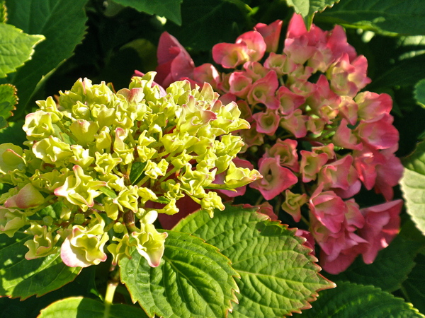 P6249610
