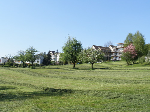 P4288641