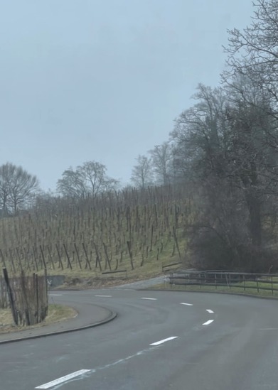 スクリーンショット 2026-01-20 23.15.54