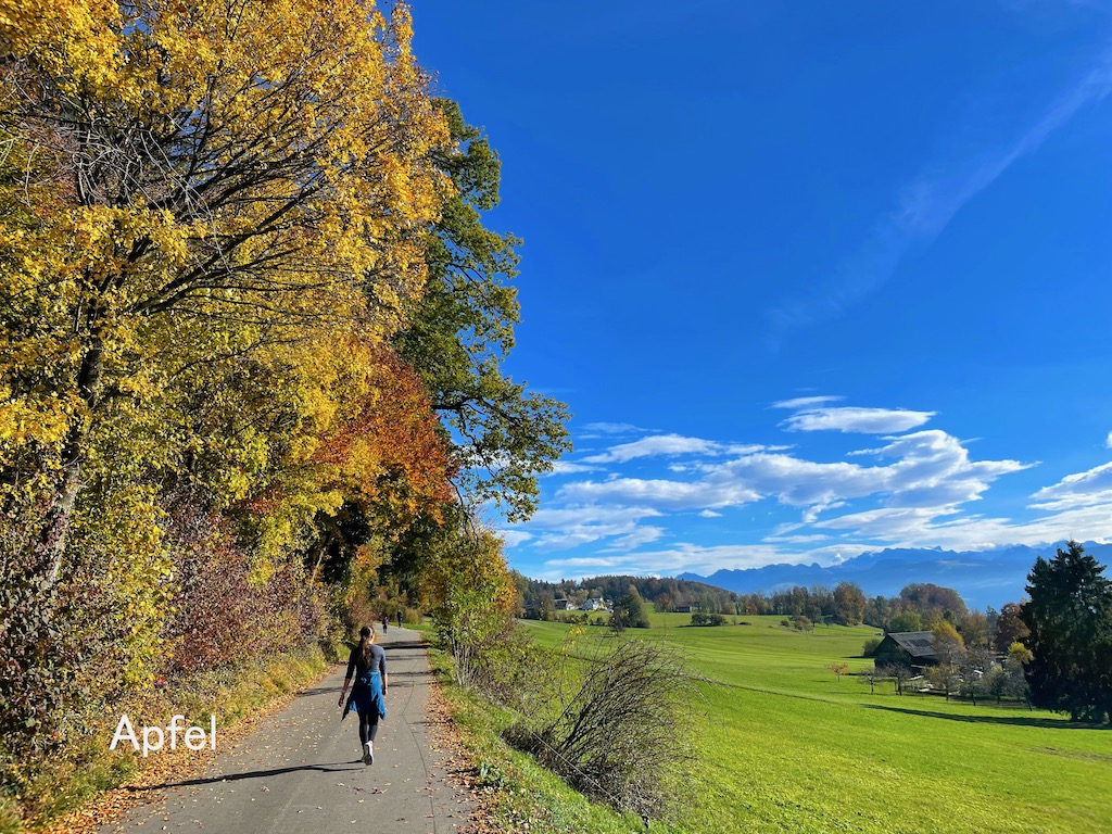 色づいたスイスの秋 スイスの街角から