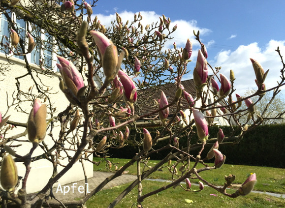 BlogPaint