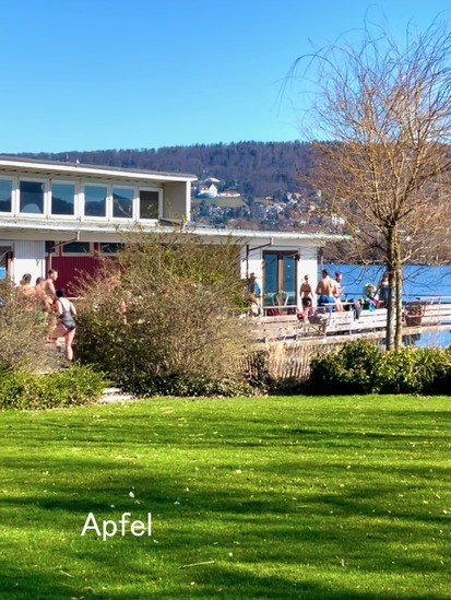 スクリーンショット 2024-02-26 6.05.46