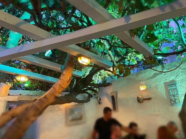 24D7DCBB-AC68-4F4B-BD91-293E2BD0E6C7