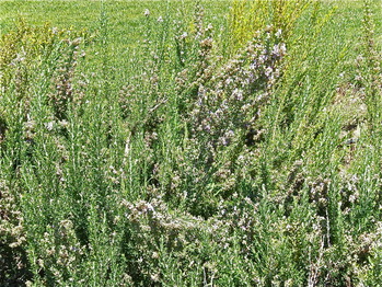 P9122381