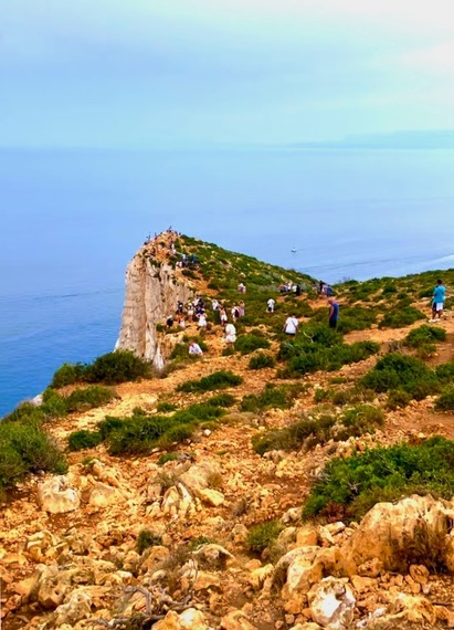 スクリーンショット 2024-09-13 5.43.01