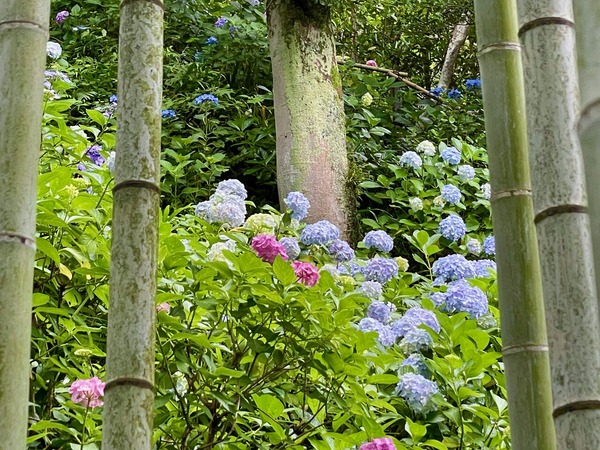 IMG_1400