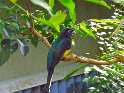 P9062024