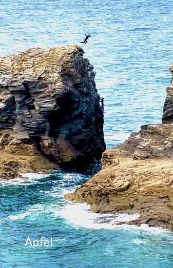 スクリーンショット 2023-07-16 8.07.19