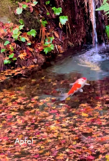 スクリーンショット 2025-12-18 14.00.37