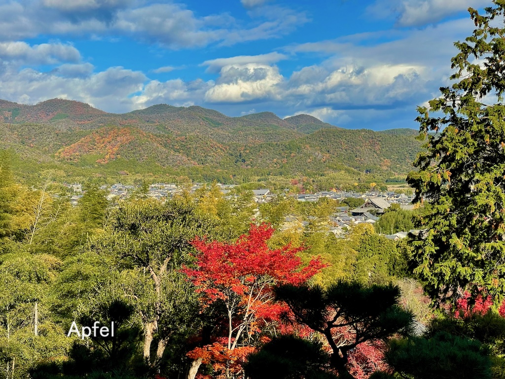 京都 嵯峨野の常寂光寺 素晴らしい紅葉でした : スイスの街角から