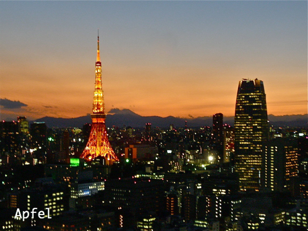 人生 東京タワー クリスマス 混雑 100 で最高の画像