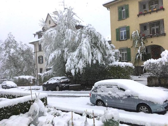 D2916A891FFAD937AF9B4A45548C3A9D