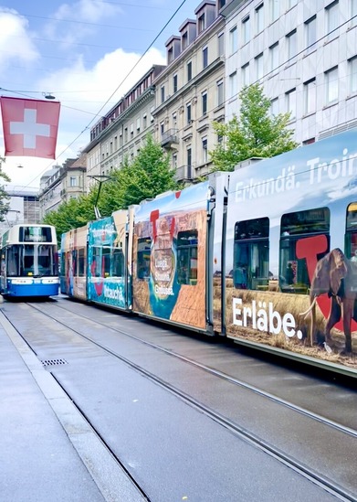 5B9CF8C6-2EA6-4EB4-B32A-CF549B0ACE29