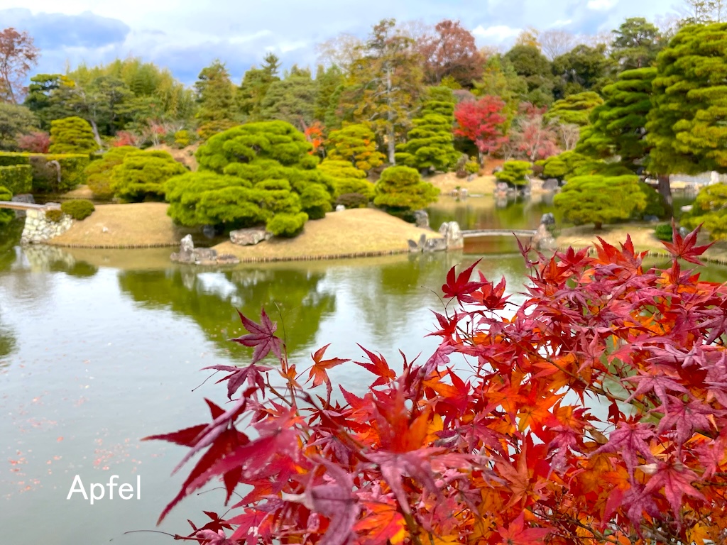 素晴らしかった 桂離宮の参観 : スイスの街角から