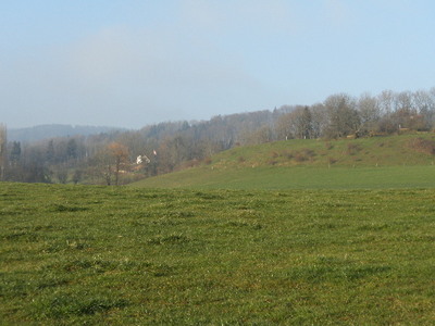 P1196628