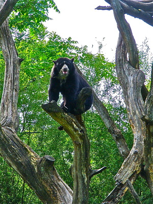 P9062065