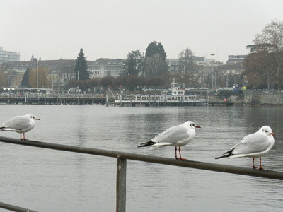 P1196605