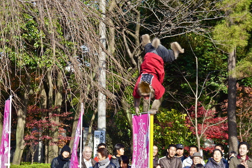DSC01123
