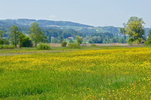 DSC03335