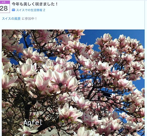 スクリーンショット 2019-03-24 1.28.51