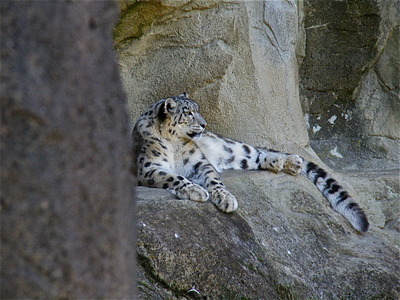 P9062050