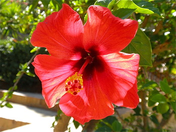 P9132576