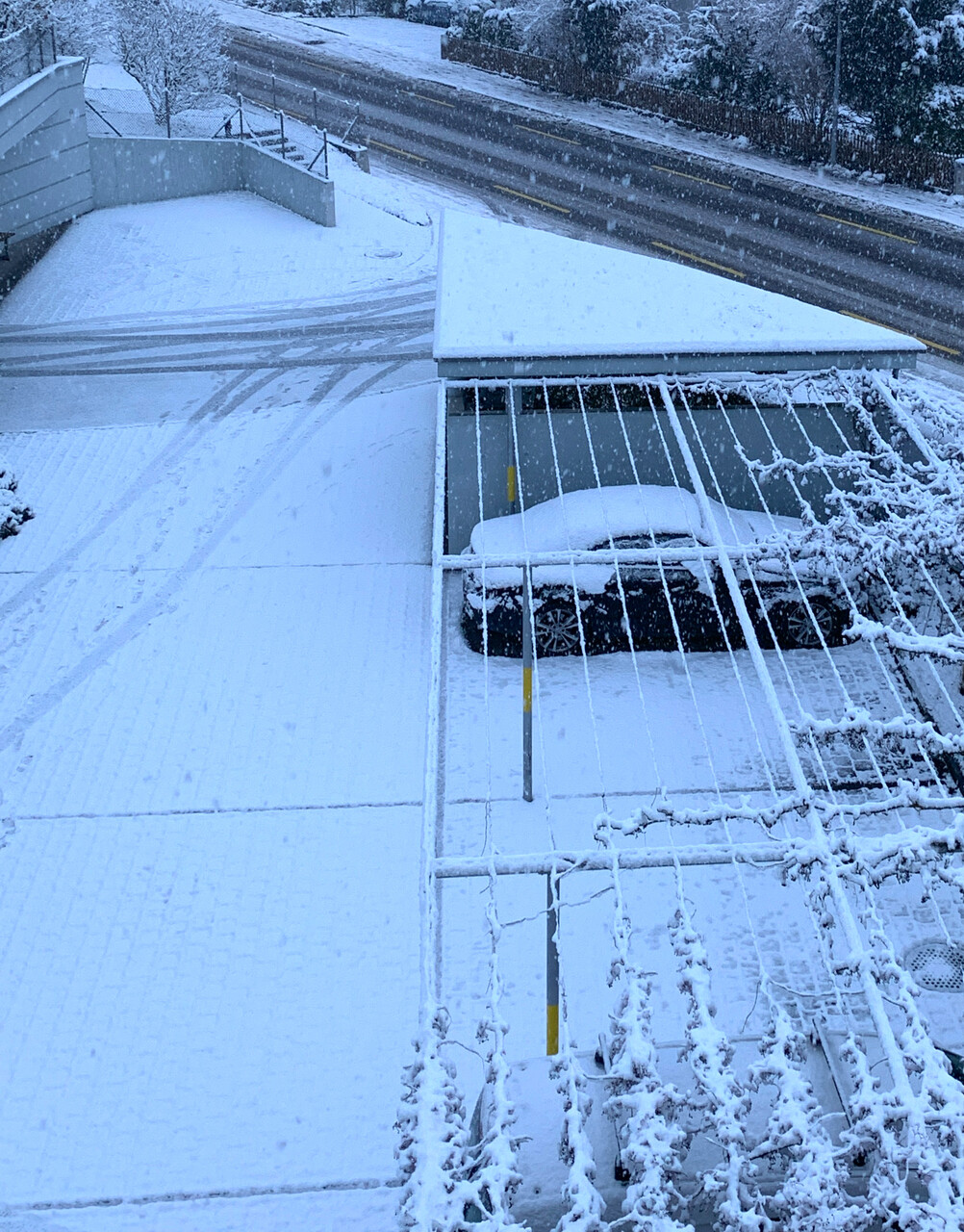12月1日、初雪が降りました。 : スイスの街角から