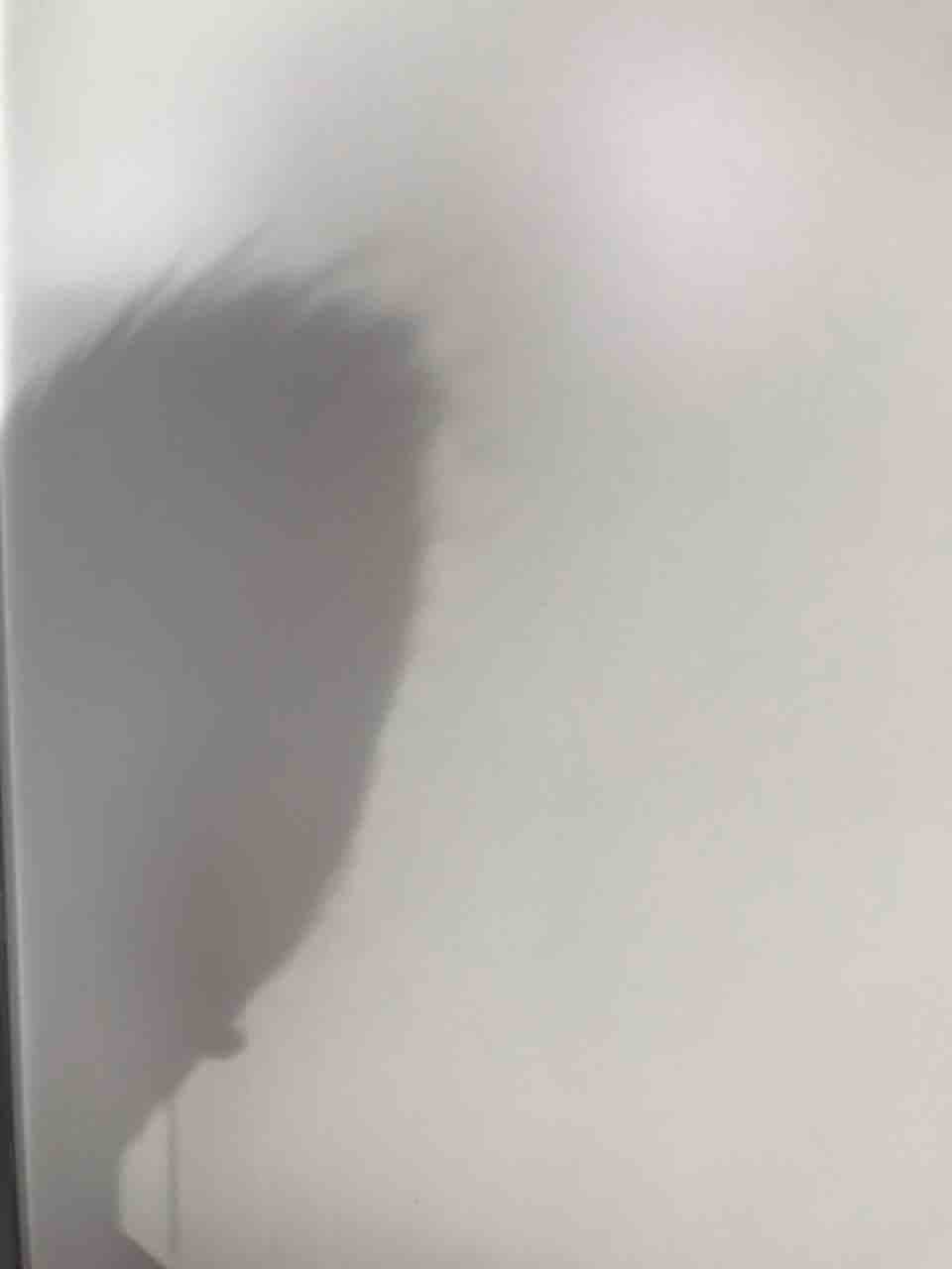 また ぽぽちゃんのどりーむずかむとぅるー