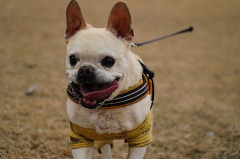 DSC01957 - コピー (2)