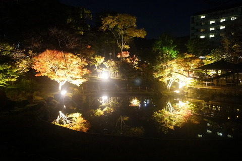 DSC03330