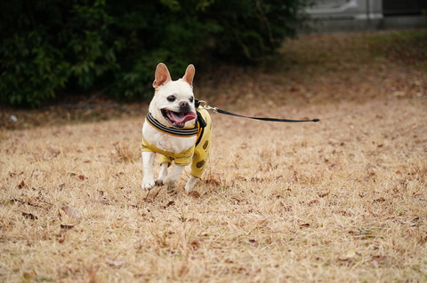 DSC02027 - コピー (2)