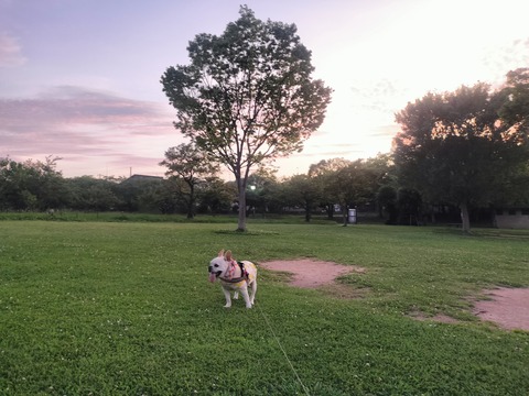 IMG20260713192332