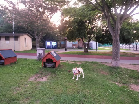IMG20260713192132