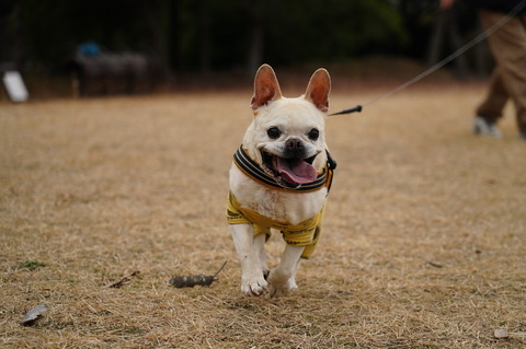 DSC02021 - コピー (2)