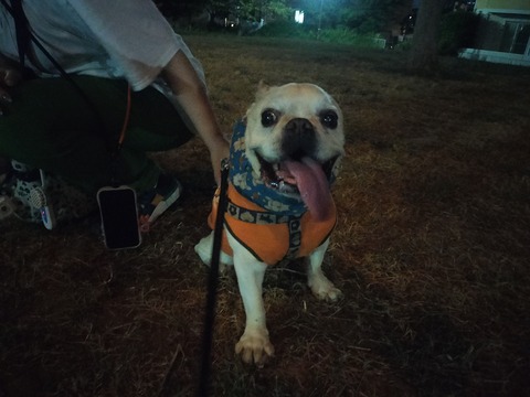 IMG20260826200255