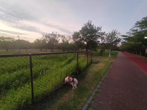 IMG20260713192855