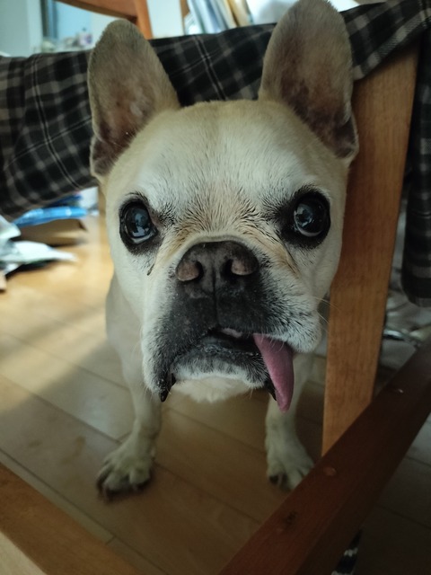 IMG20260716182429