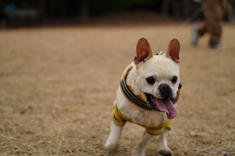 DSC02025 - コピー (2)