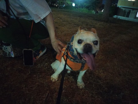 IMG20260826200305