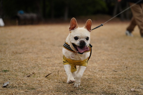 DSC02022 - コピー (2)