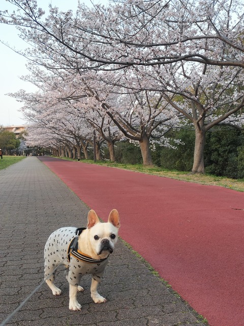 IMG20260402180816