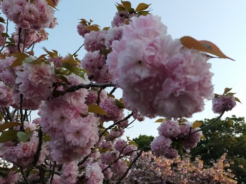 IMG20220419173959