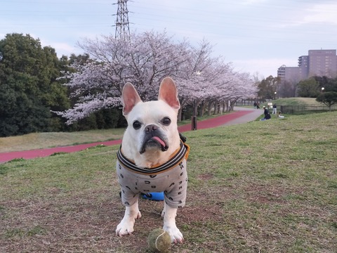 IMG20260402181405