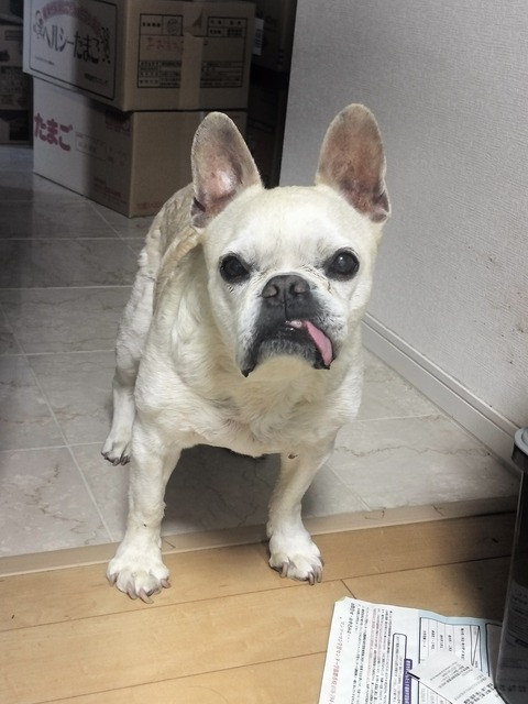 IMG20260708181839